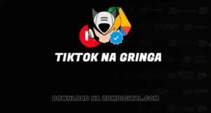 Tiktok na Gringa download